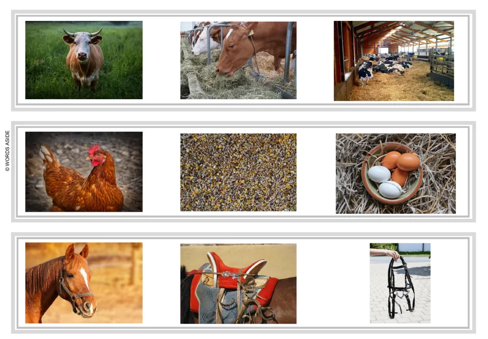 Sentence and story task strips 4–6: a cow with hay and a barn, chicken with grain and eggs, and horse tack