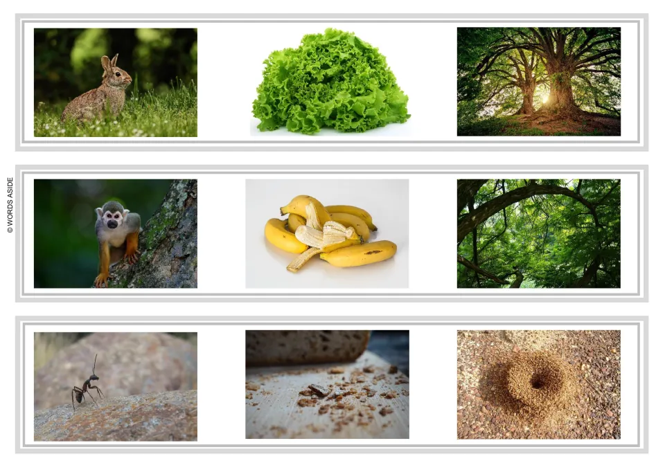 Sentence and story task strips 7–9: rabbit, lettuce, tree; monkey, bananas, branches; ant, crumbs, anthill