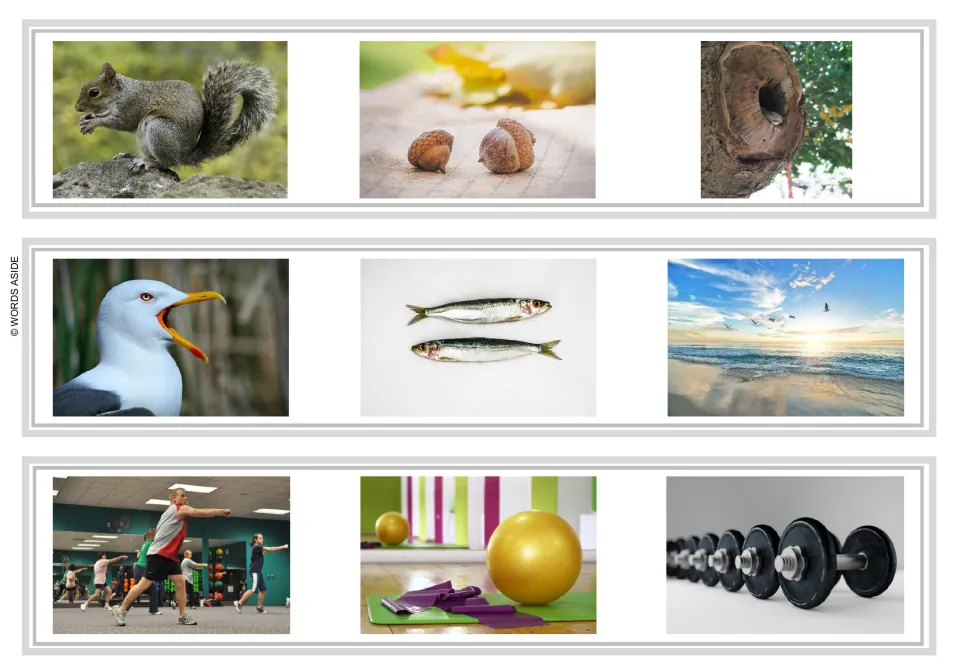 Sentence and story task strips 13–15: squirrel, acorns, tree hollow; gull, fish, beach; exercise equipment