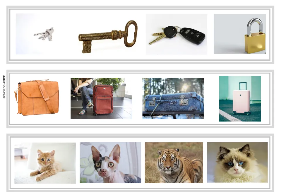 Logical exclusion strips 19–21: keys and a padlock; a shoulder bag and suitcases; domestic cats and a tiger