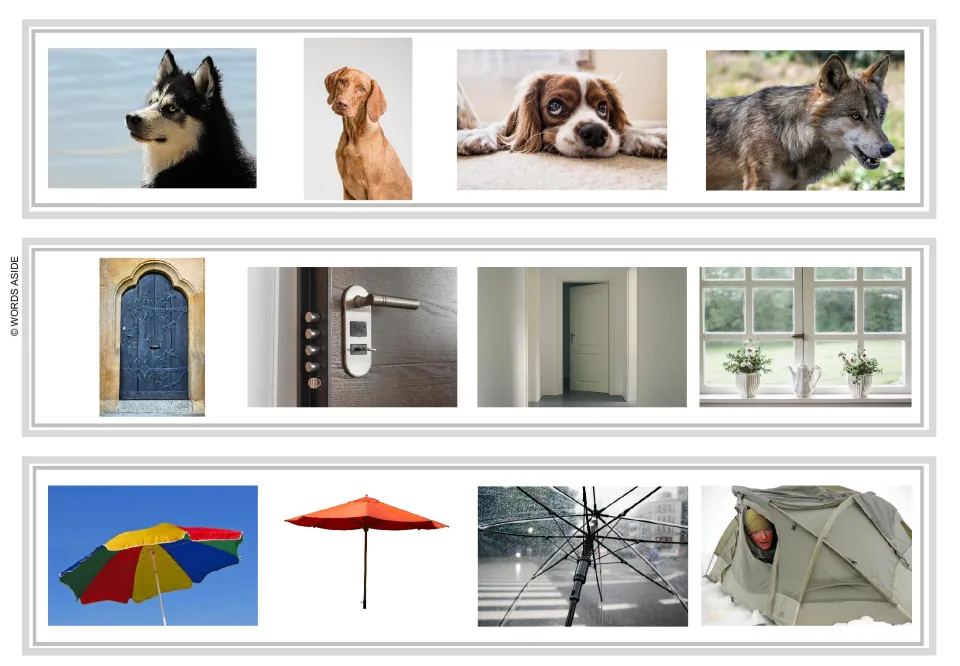 Logical exclusion strips 22–24: dogs and a wolf; doors and a window; umbrellas and a tent