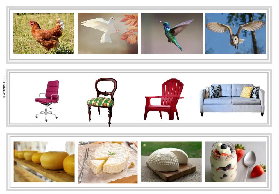 Logical exclusion strips 25–27: a chicken, dove, hummingbird, and owl; chairs and a sofa; cheese and yogurt