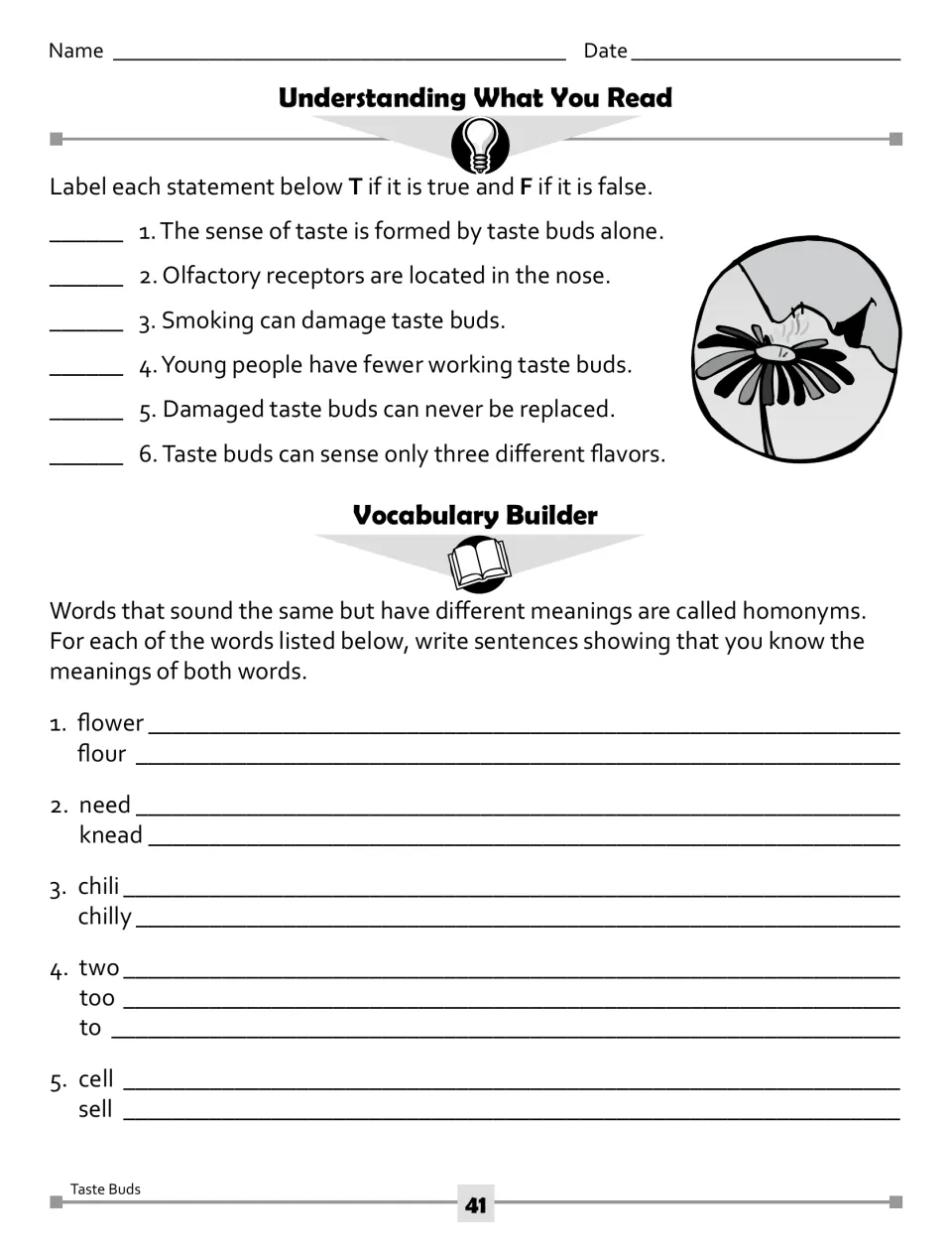 Taste bud comprehension and homonyms: students mark 6 statements true or false, then write sentences for flower/flour