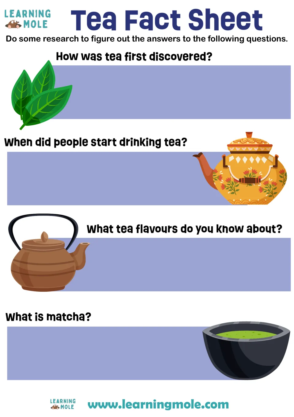 Tea fact sheet: students research how tea was discovered, when people began drinking it, tea flavours and matcha