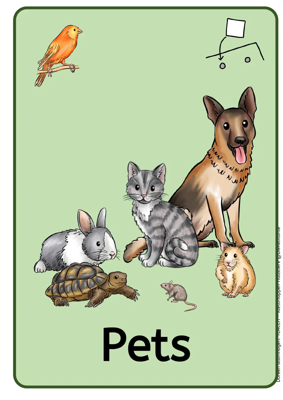 A4 pets folder cover showing a bird, dog, cat, rabbit, tortoise, hamster, and mouse above the title 'Pets'