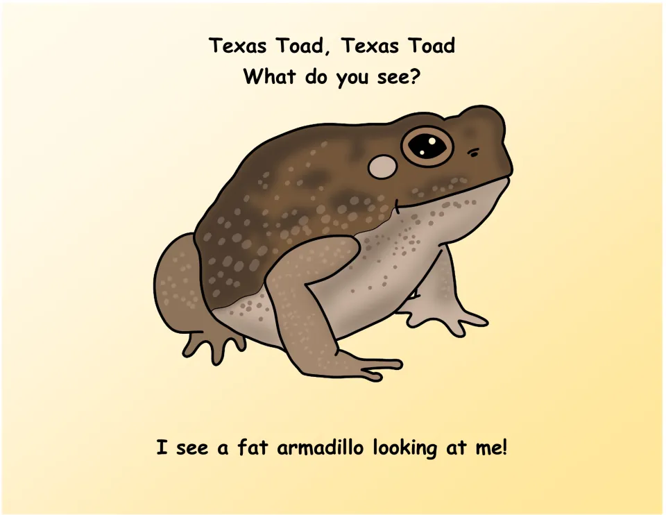 Texas symbols book page 6: Texas Toad asks 'What do you see?' and sees a fat armadillo.