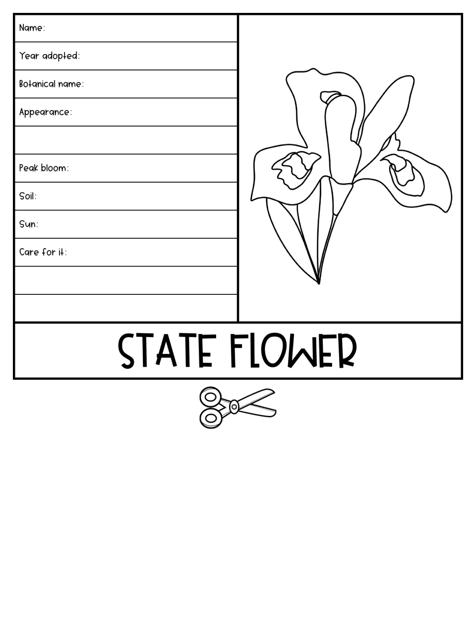 State Flower flipbook section with an iris illustration and prompts for botanical name, bloom, and care
