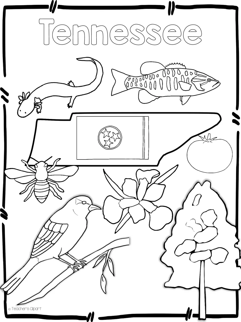 Tennessee state symbols to color: state outline with flag, salamander, bass, bee, tomato, bird, iris and tree drawings