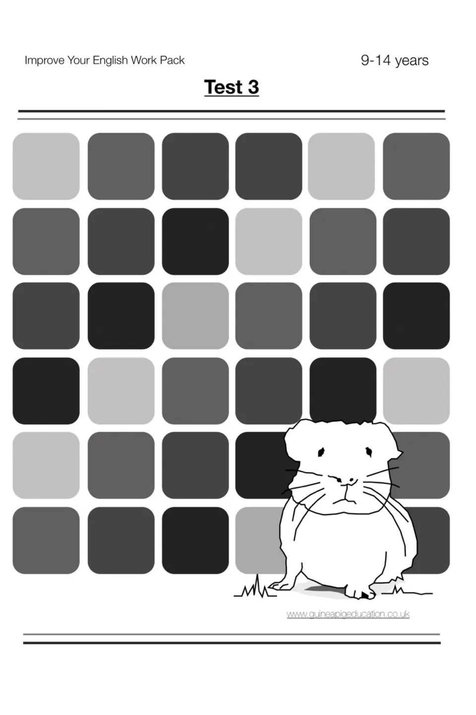 Test 3 cover from the Improve Your English Work Pack for ages 9-14, with a cartoon guinea pig and guineapigeducation URL