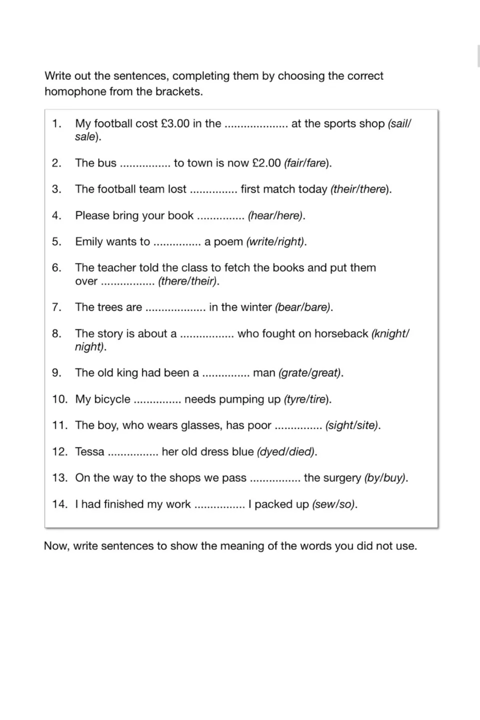 Homophones: students complete 14 sentences by choosing from pairs like sail/sale and knight/night, then use unused words
