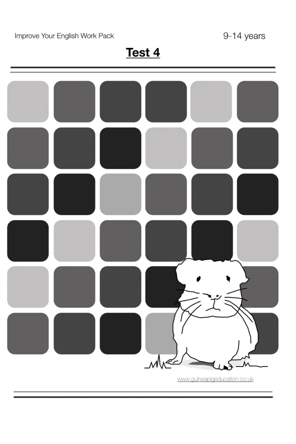 Improve Your English Work Pack Test 4 cover for 9-14 years, with a guinea pig drawing and the publisher's website