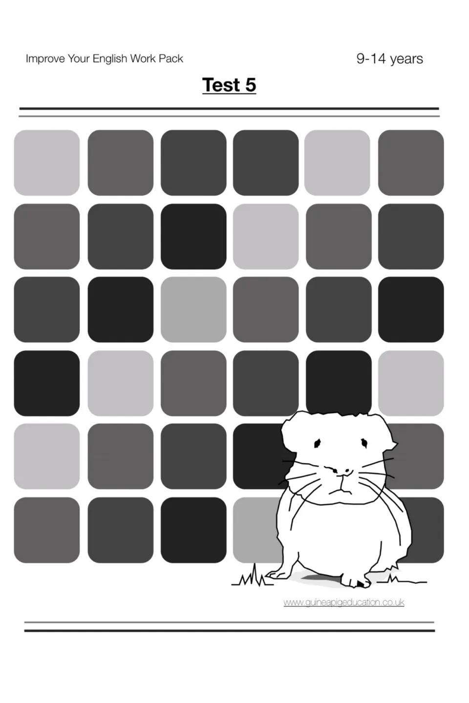 Test 5 cover for the Improve Your English Work Pack, ages 9-14, showing a guinea pig drawing over grey tiles
