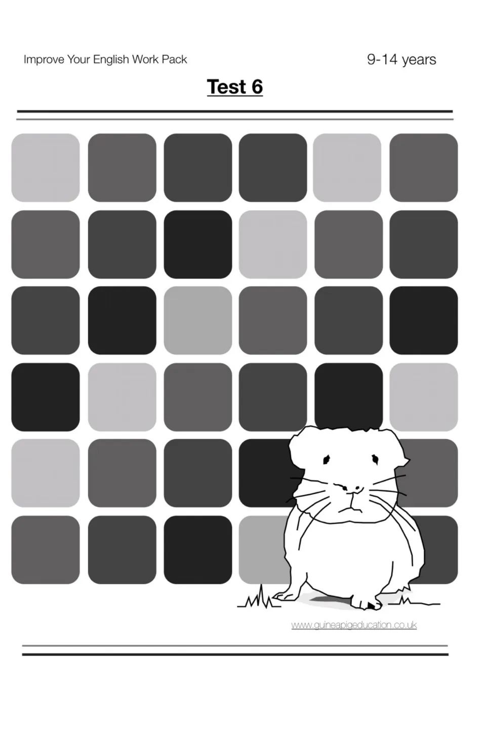 Test 6 cover for the Improve Your English Work Pack, ages 9-14, with the same guinea pig drawing and tiled backdrop
