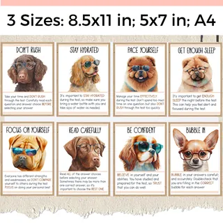 Motivational Testing Posters – 21 Dog-Themed Tips – sample page 2