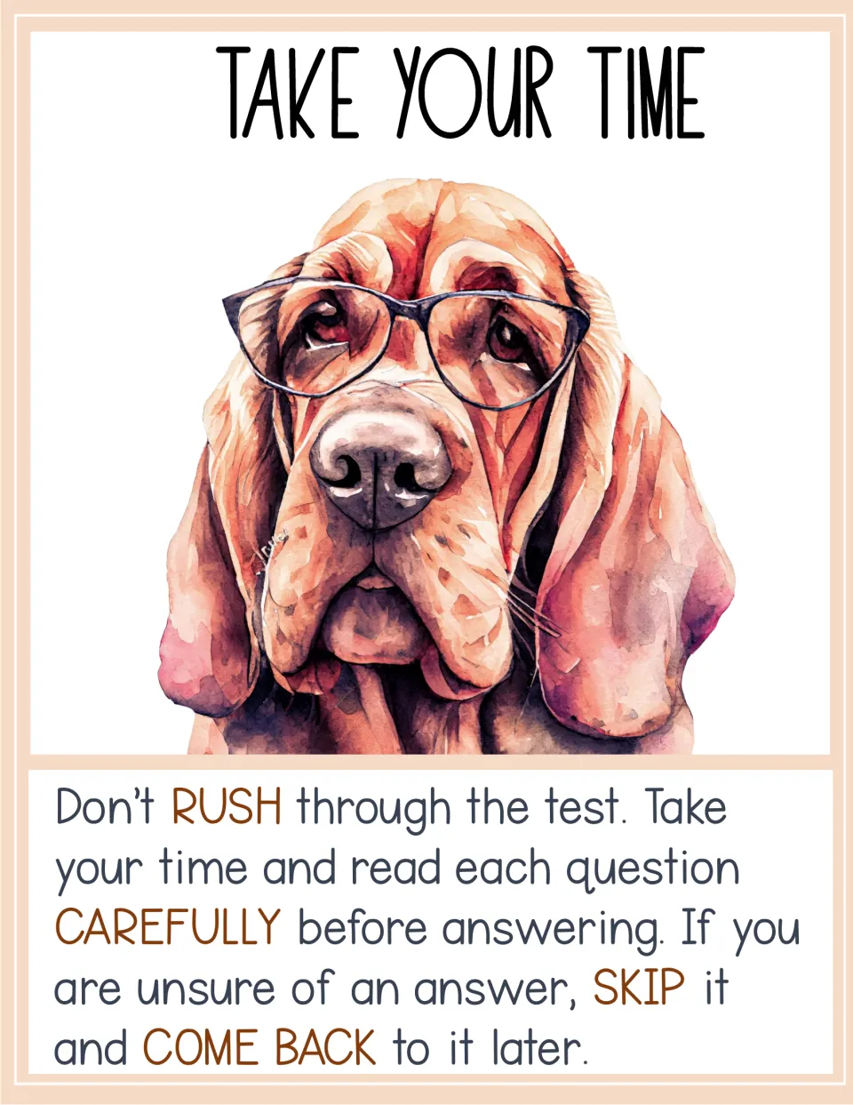 Take Your Time poster: a bloodhound in glasses urges not rushing, reading each question closely and skipping to return later