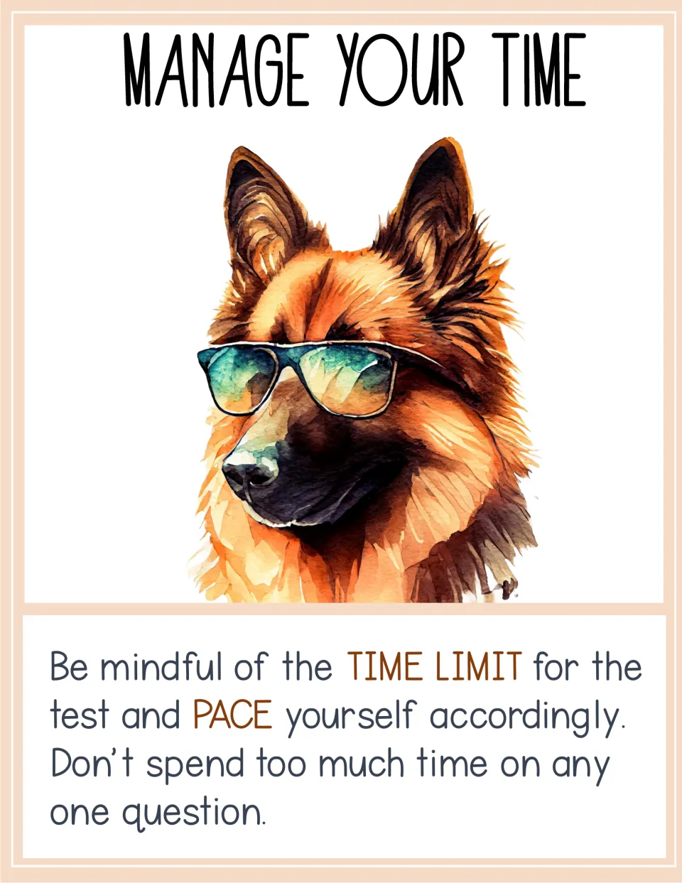 Manage Your Time poster: a German shepherd in sunglasses urges pacing to the time limit and not lingering on any one question