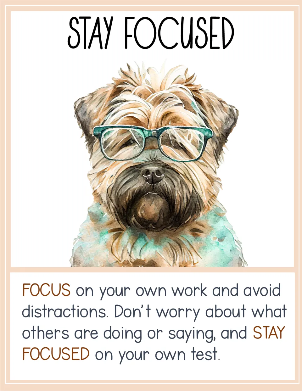 Stay Focused poster: a shaggy terrier in glasses tells students to focus on their own test and ignore what others do or say