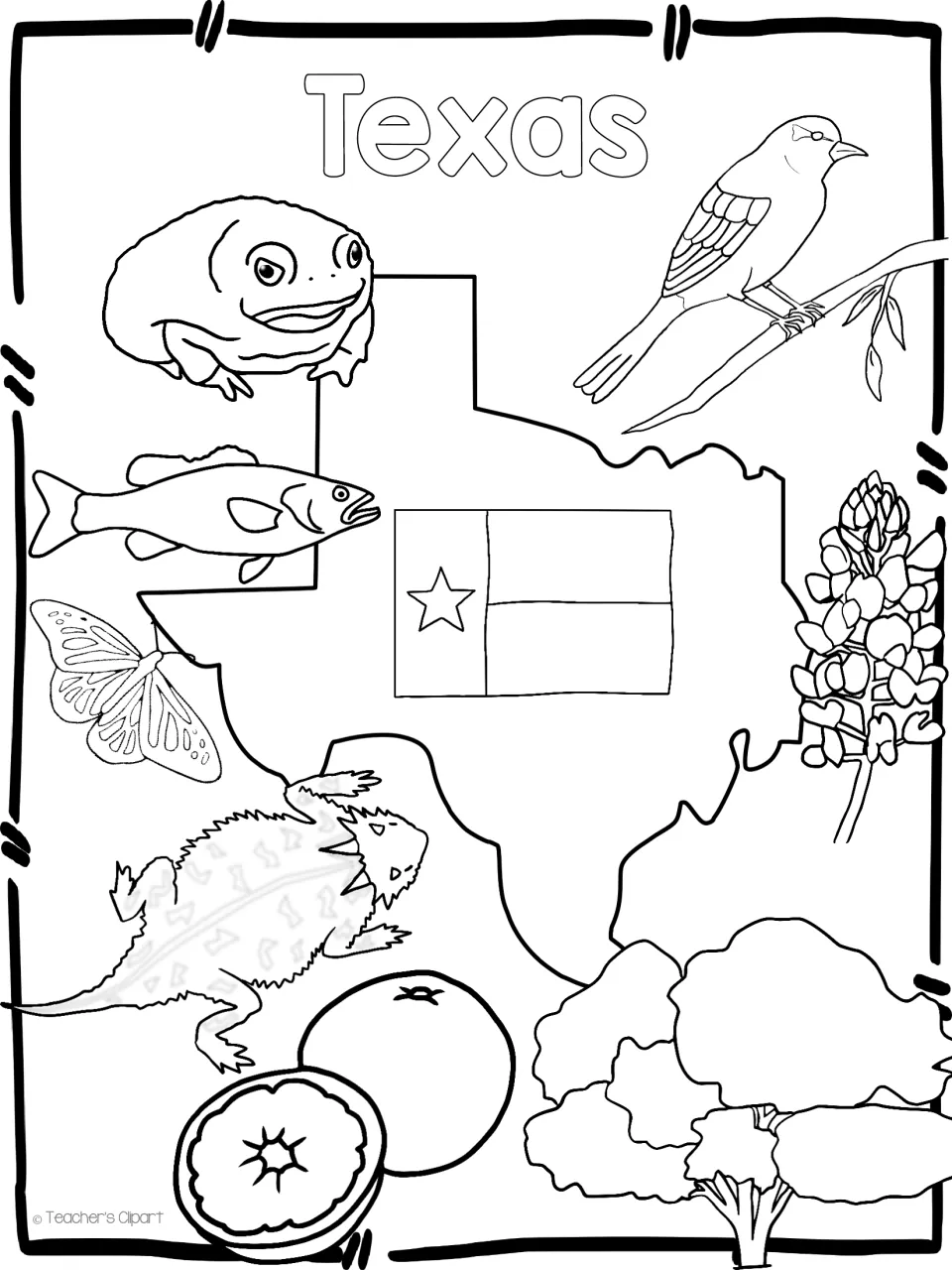 Texas symbols colouring page: state map with flag, mockingbird, bluebonnet, horned lizard, butterfly, fish and a tree
