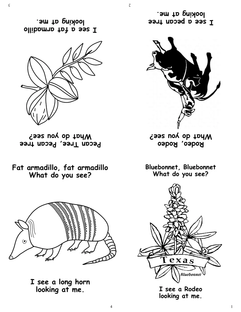 Texas symbols mini-book pages 1-4: bluebonnet, rodeo, pecan tree and armadillo with "What do you see?" patterned text