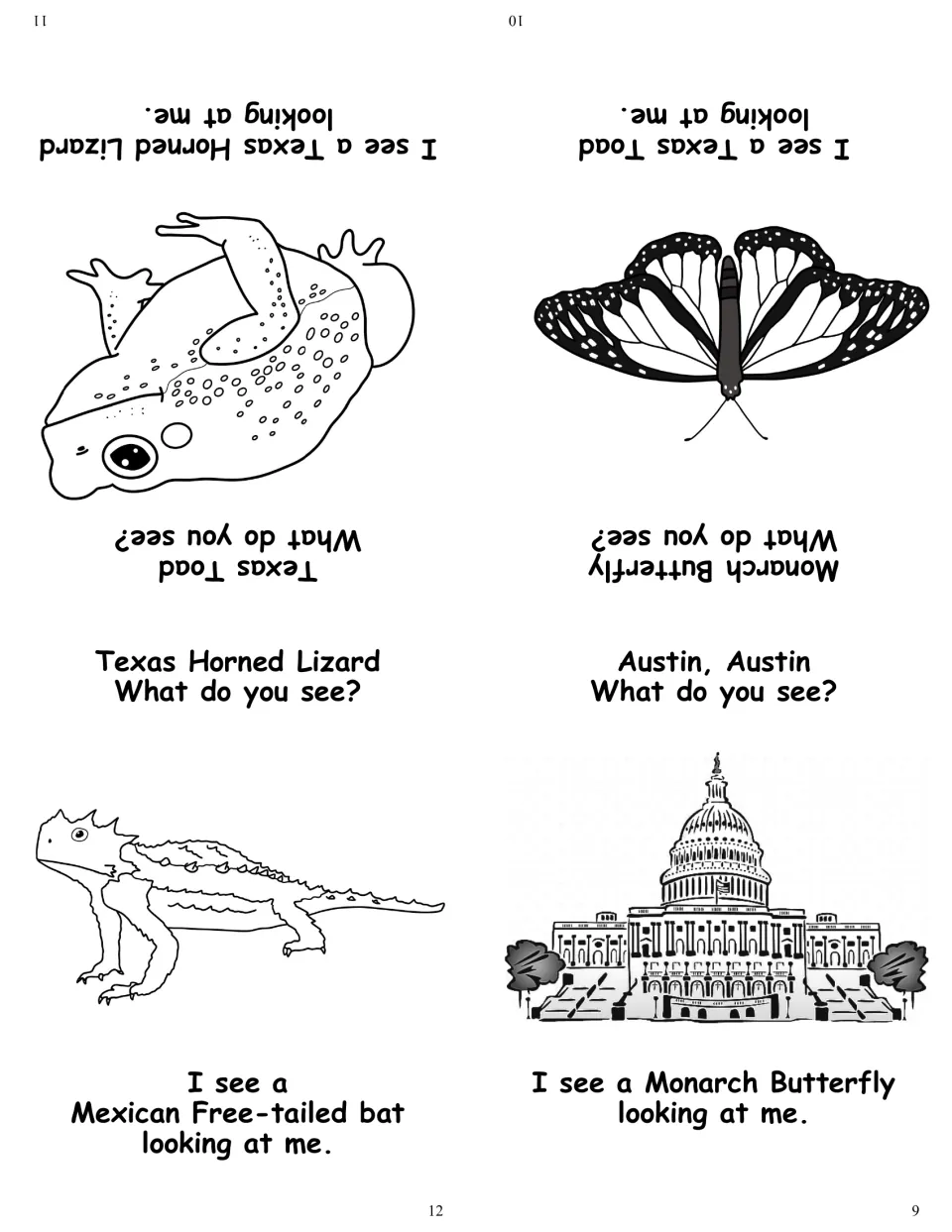 Texas animals and capital pages 9-12: Austin capitol building, monarch butterfly, Texas toad and Texas horned lizard