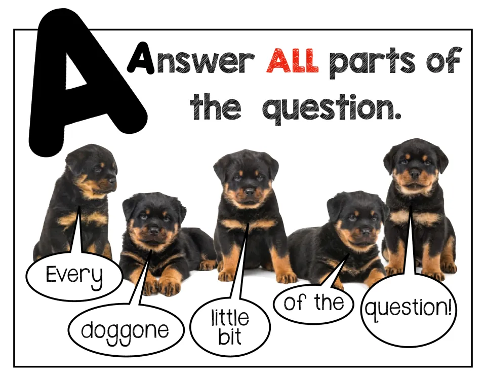 A step: Answer ALL parts of the question; five Rottweiler puppies say "Every doggone little bit of the question!"
