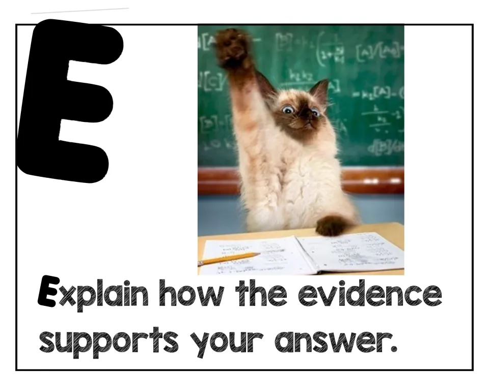 E step: Explain how the evidence supports your answer, with a cat raising its paw at a desk in front of a chalkboard