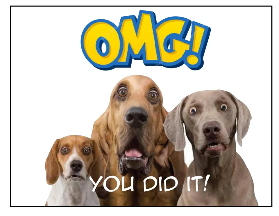 Celebration poster: "OMG!" over three wide-eyed dogs, a beagle, bloodhound and Weimaraner, with "You did it!"