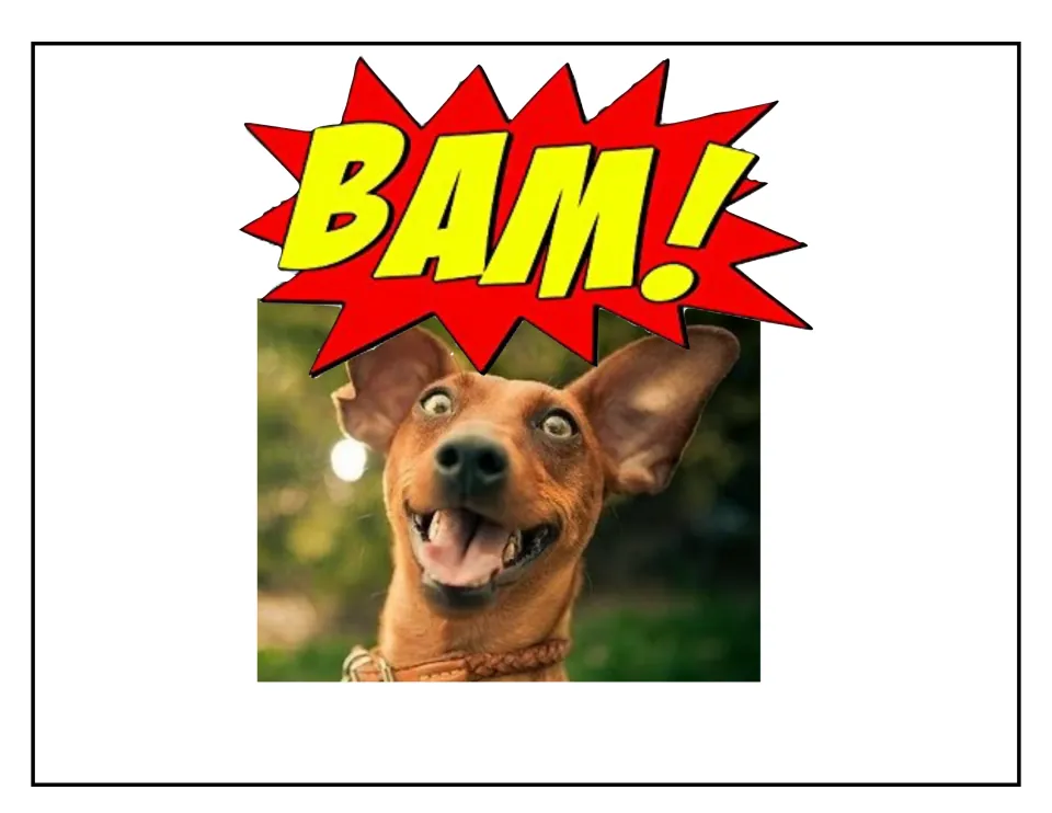 Celebration poster with the word "BAM!" in a red and yellow burst above a photo of an excited, wide-eyed small dog