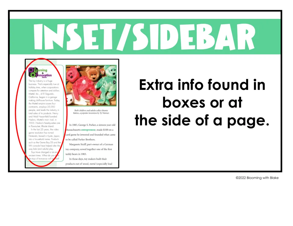Inset/sidebar text feature: extra info found in boxes or at the side of a page, with a toy industry sidebar circled