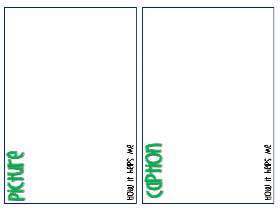 Picture and caption booklet pages where students paste a real example of each feature and write how it helps them read