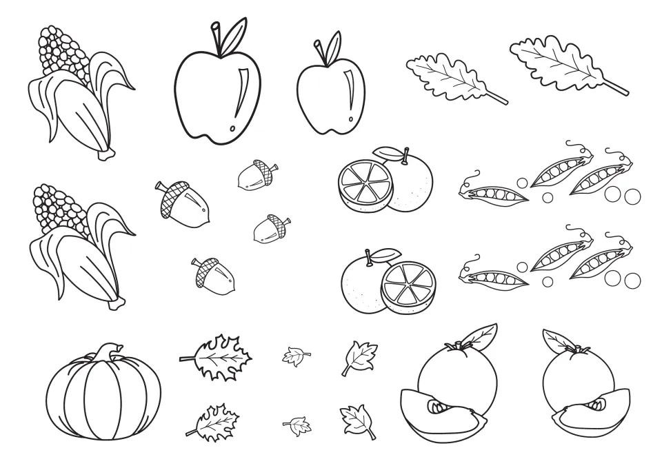 Harvest cut-out pieces to colour: corn, apples, oranges, pea pods, acorns, a pumpkin, autumn leaves and sliced fruit