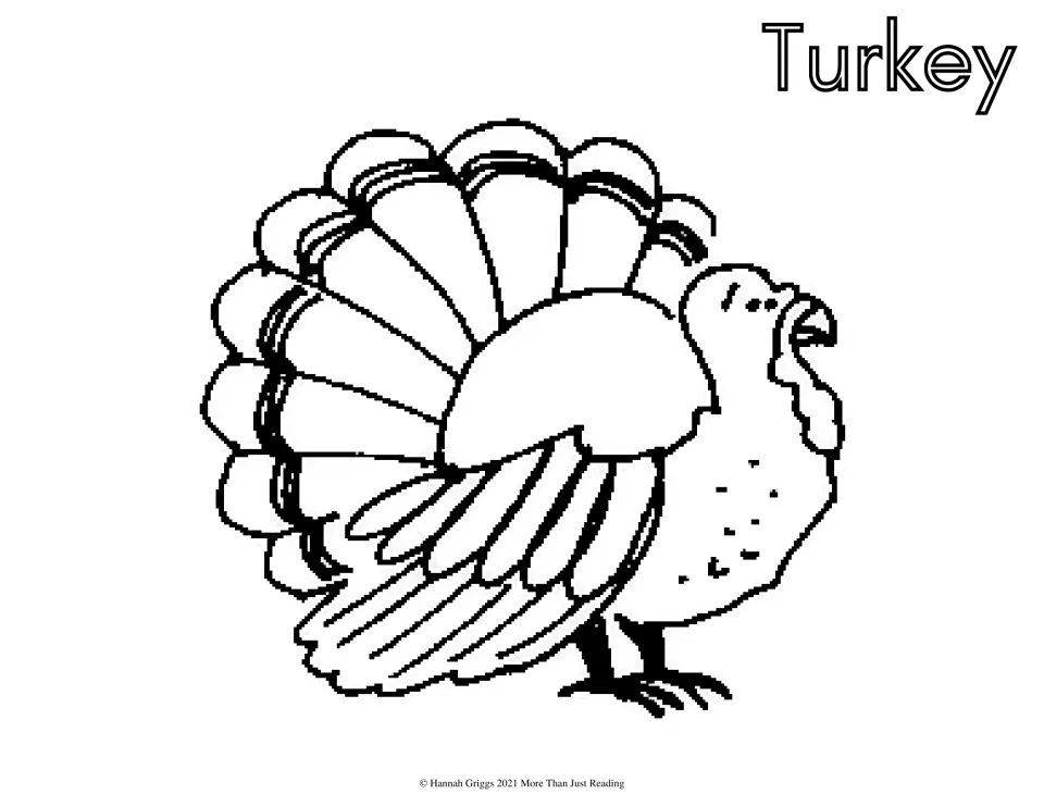 Thanksgiving coloring sheet labeled 'Turkey' featuring a standing turkey with its tail feathers spread