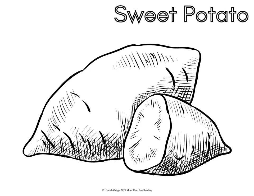 Thanksgiving coloring sheet labeled 'Sweet Potato' featuring a whole sweet potato beside a cut section