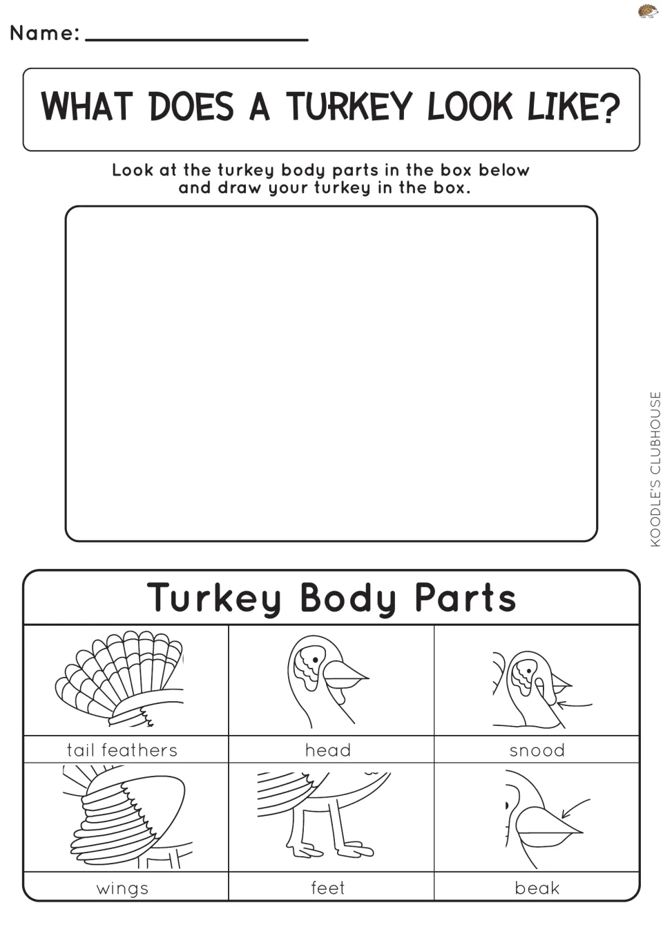 What does a turkey look like? Students draw one using labeled parts: tail feathers, head, snood, wings, feet and beak