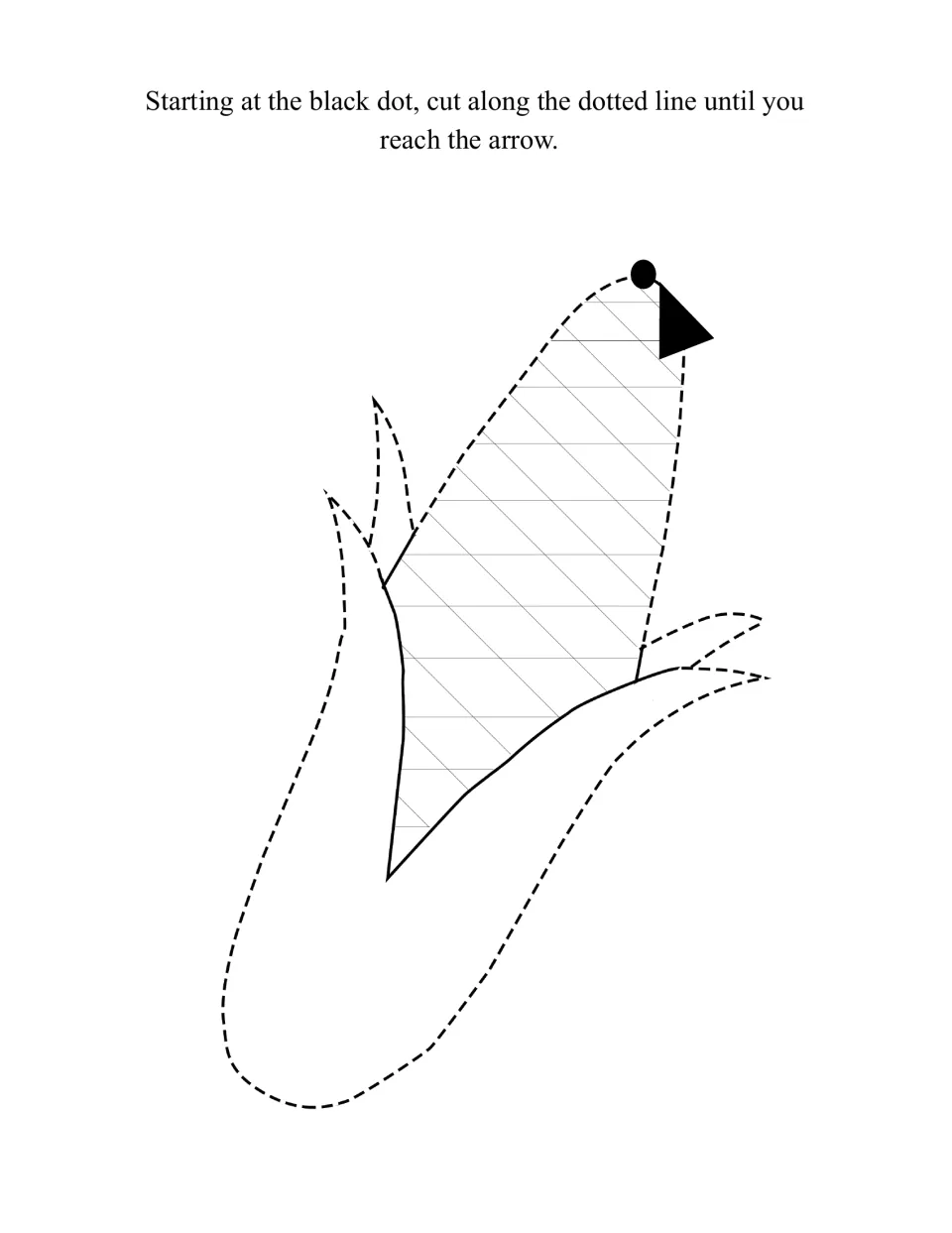Ear of corn with husk leaves to cut out along its dotted outline, starting at the black dot and ending at the arrow