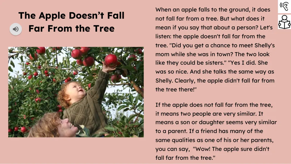 Audio-supported reading passage explains the saying through Shelly and her mom’s similar looks and speech
