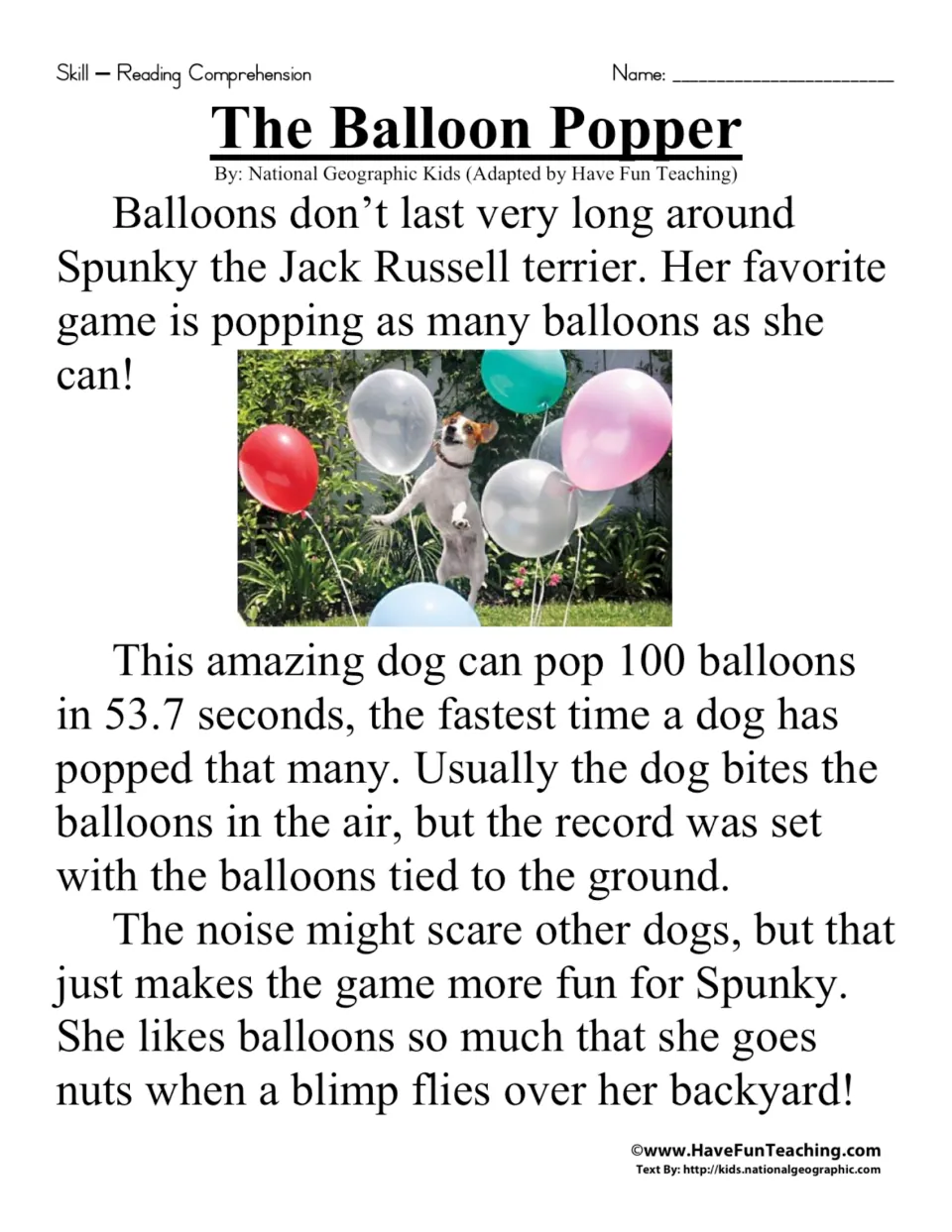 Reading passage about Spunky, a Jack Russell terrier who can pop 100 balloons in 53.7 seconds.