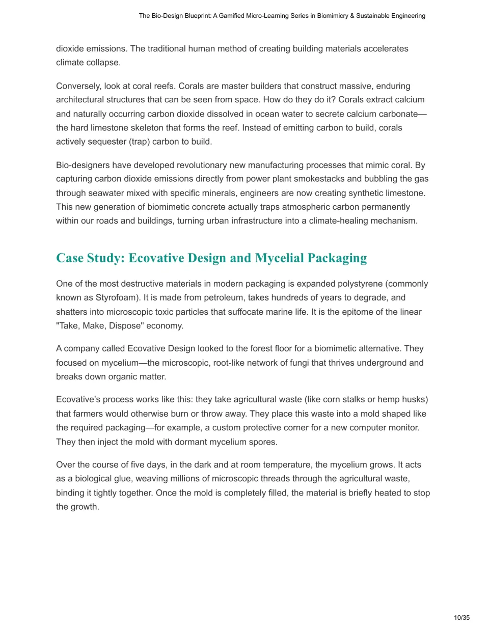Chapter 4 continues coral-inspired concrete and explains Ecovative's packaging made with mycelium