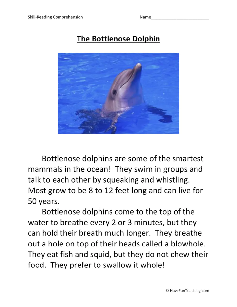 Reading passage about bottlenose dolphins: communication, size, lifespan, breathing, and eating habits.