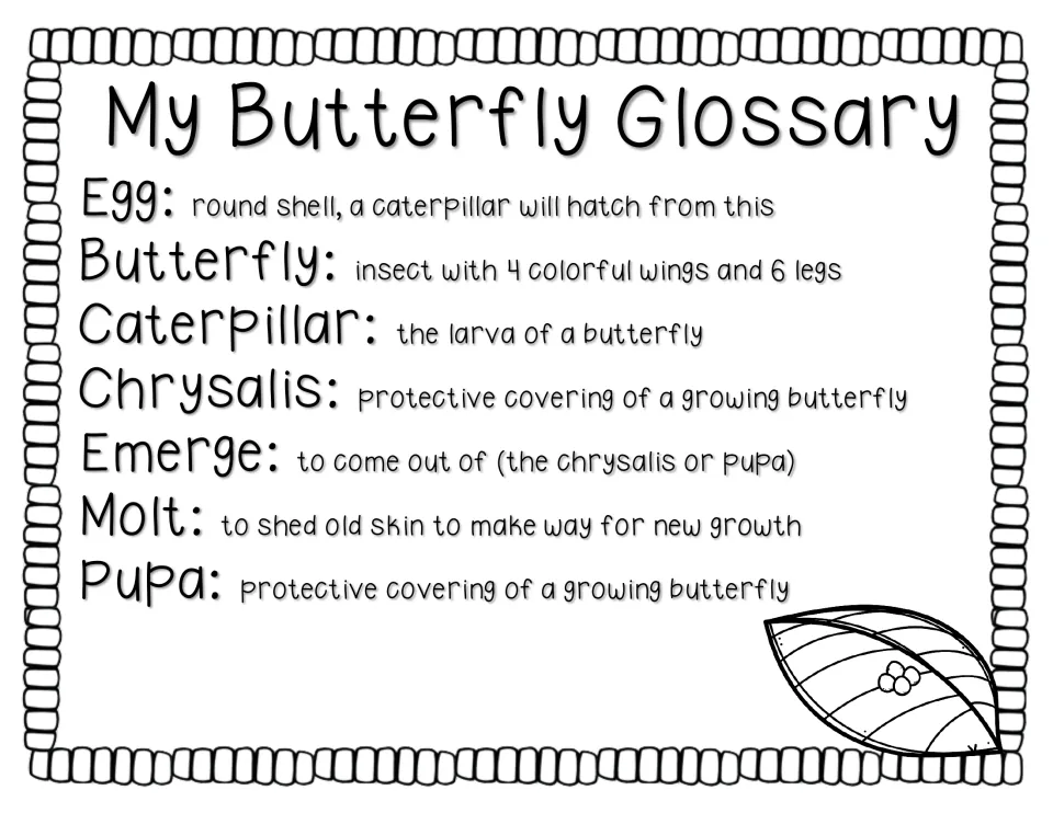 Butterfly glossary defining egg, butterfly, caterpillar, chrysalis, emerge, molt and pupa in simple words