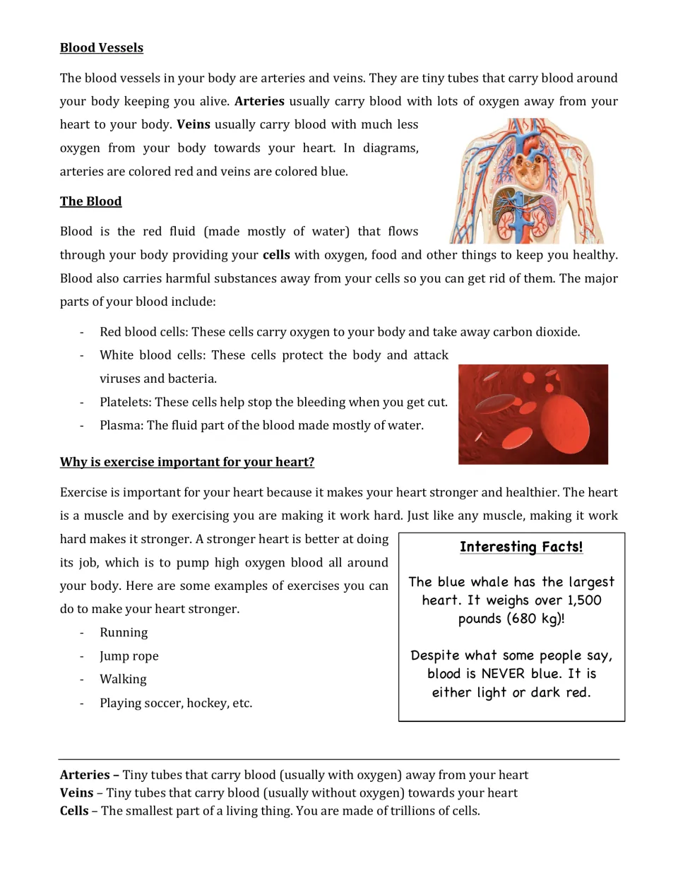 Reading part 2: arteries and veins, red and white blood cells, platelets, plasma, and exercise for heart health