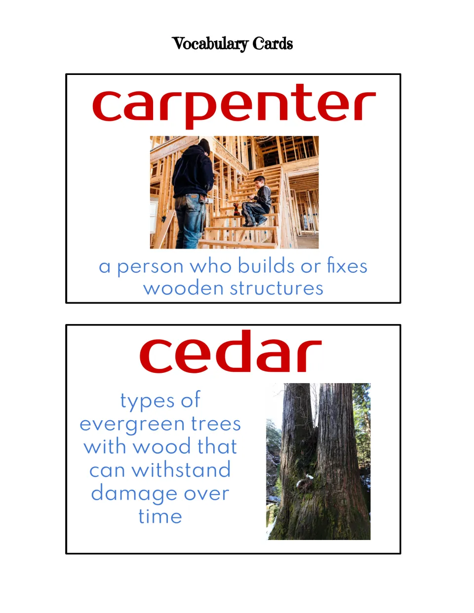 Vocabulary picture cards defining carpenter, a person who builds or fixes wooden structures, and cedar evergreen trees