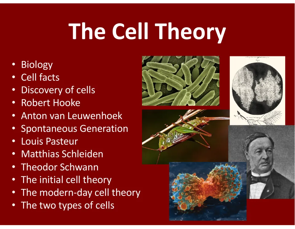 Cell theory deck cover listing 12 topics, from Robert Hooke and Louis Pasteur to modern cell theory and two cell types