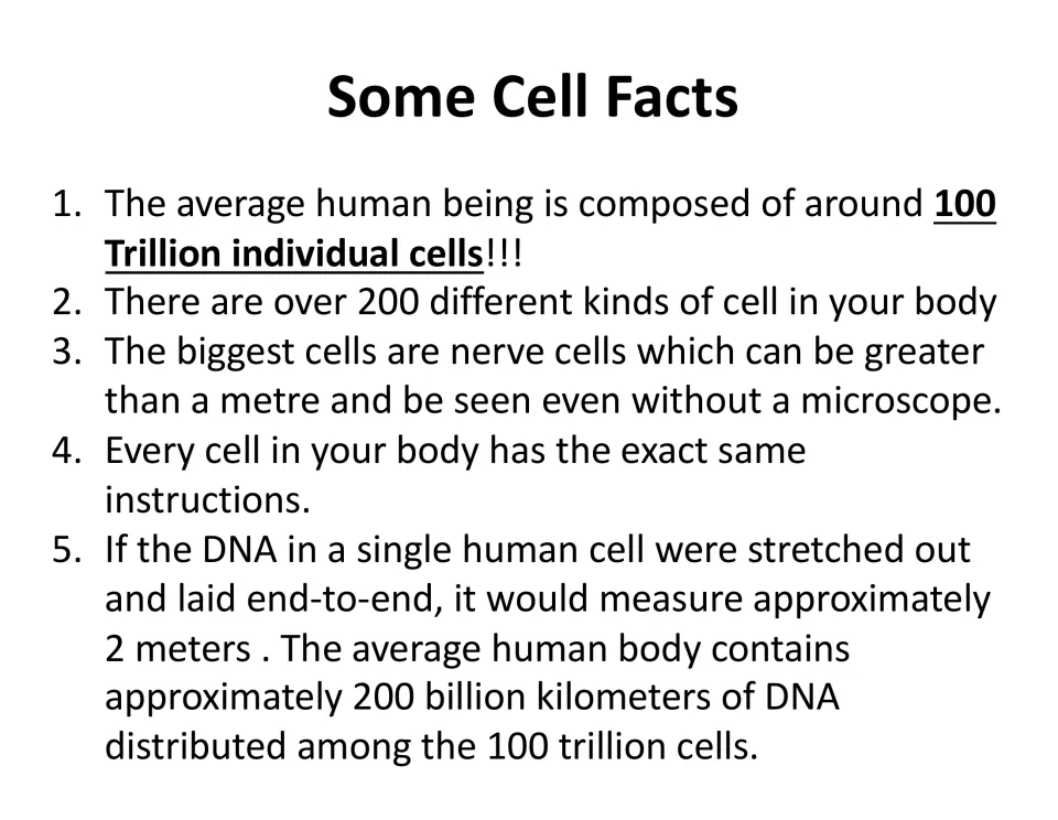 Some Cell Facts: five numbered facts on 100 trillion human cells, 200 cell kinds, metre-long nerve cells and DNA length
