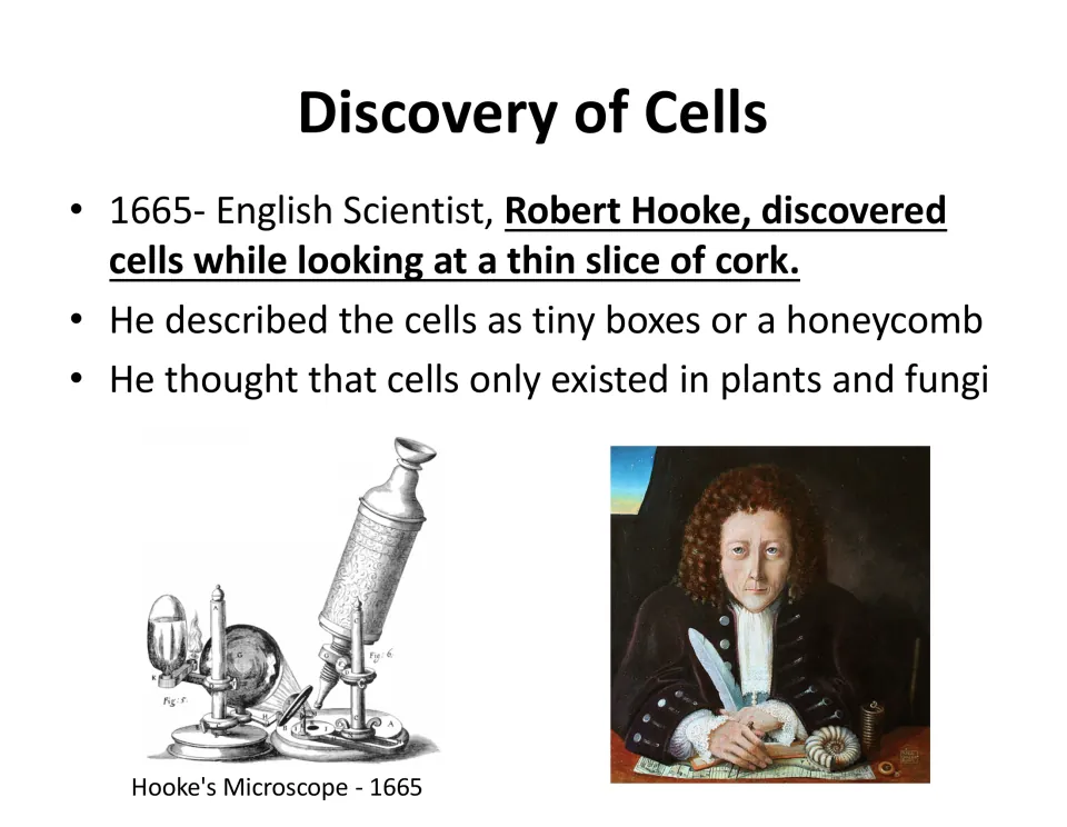 Discovery of Cells: Robert Hooke finds cells in a thin slice of cork in 1665, shown with his microscope and a portrait