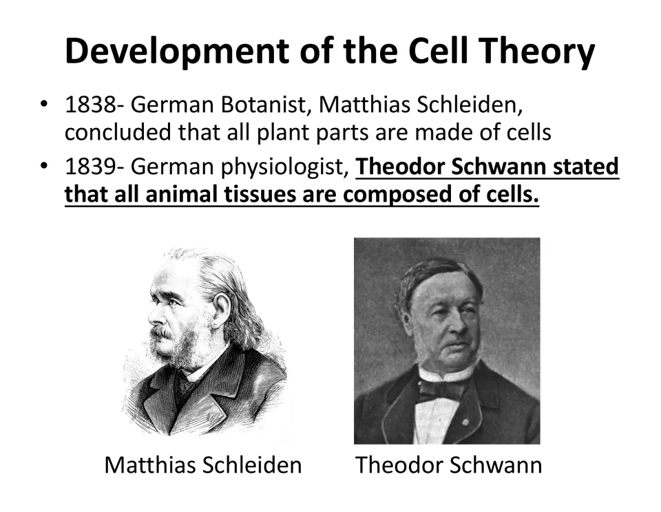 Cell theory origins: Schleiden (1838) finds all plant parts made of cells; Schwann (1839) says the same of animal tissue