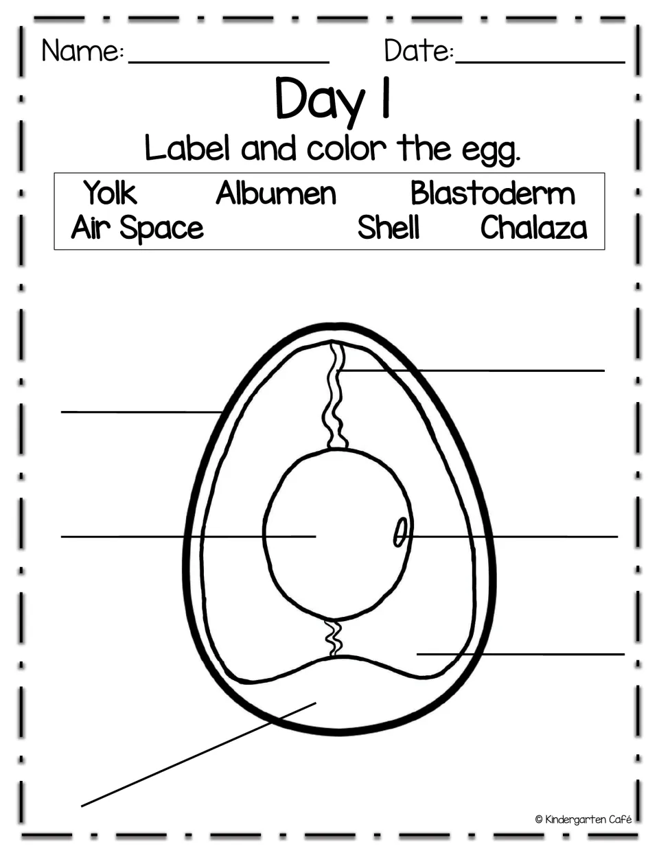 Day 1 egg diagram: students label yolk, albumen, blastoderm, air space, shell and chalaza, then color the egg