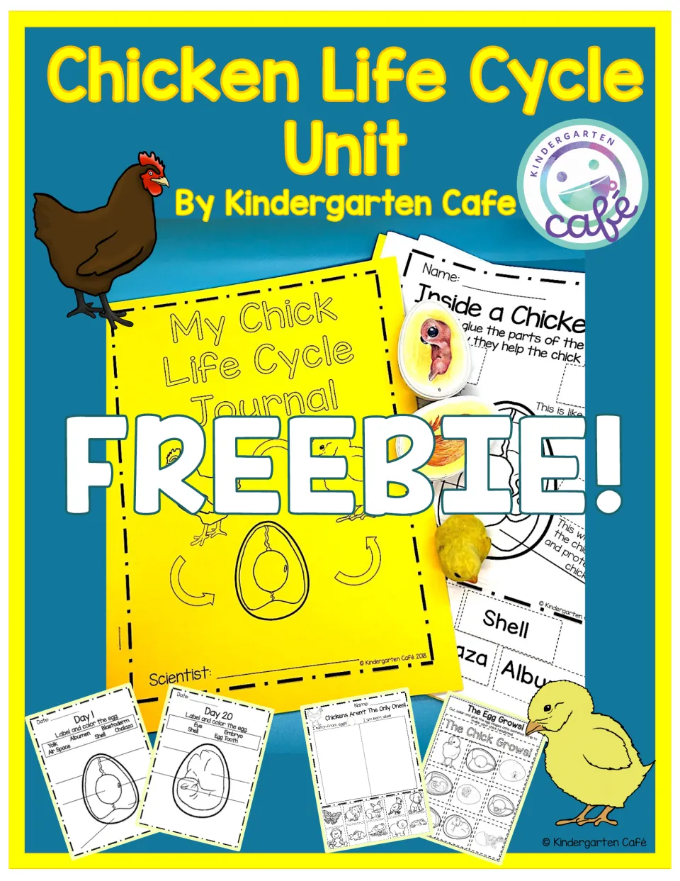Chicken Life Cycle Unit cover marked Freebie, showing a chick life cycle journal, egg labelling pages and hen and chick art