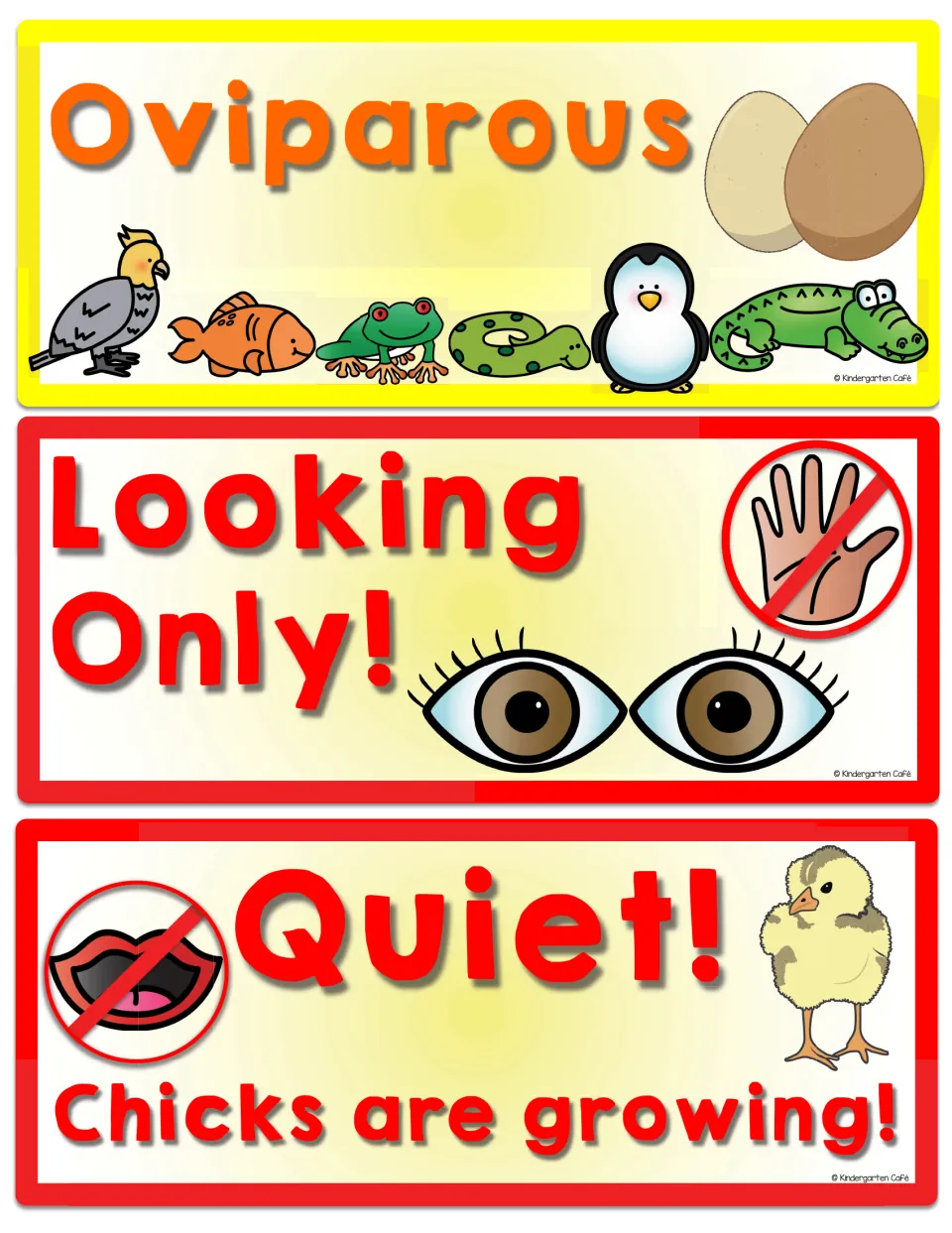 Oviparous vocabulary card with egg-laying animals and signs reading 'Looking Only!' and 'Quiet!'