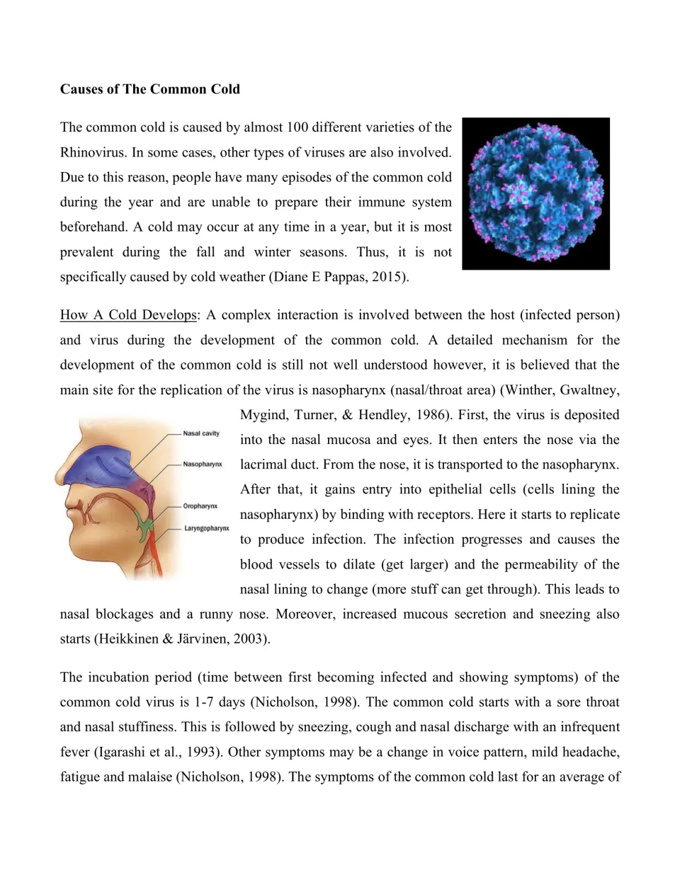 Causes of colds: students read how Rhinovirus reaches the nasopharynx, with a labeled nose and throat diagram